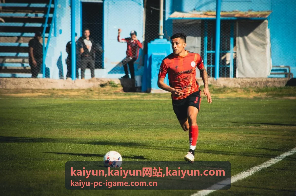 kaiyun网站内容架构专题封面
