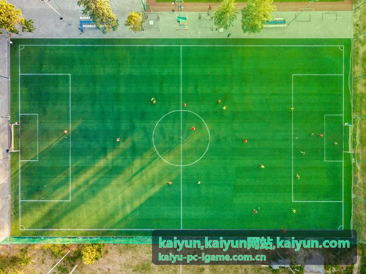 kaiyun.com关键词自然布局展示